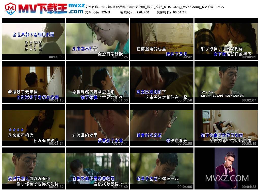 徐文涛-全世界都下着相思的雨_国语_流行_MB502373